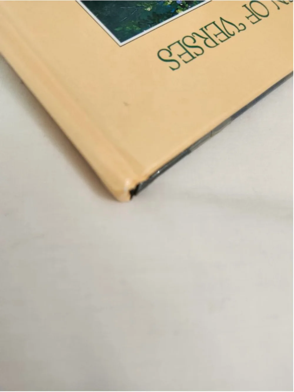 Girls Unbranded Kids Book Leaves From A Child's Garden of Verses Beige Green One